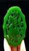 Collier de jade vert naturel Corde pendentielle Lucky Amulet Gemstone Horse Fine Statue Pendentif Collection Summer Ornements Natural Stone3456502