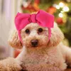 Band Apparel Band Pet Accessoires Party Supplies Band Bands Bands Petzzz Polyester Hair Accessoire