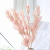 Dekorativa blommor 5st Natural Dried Leaves Fresh Conservered Orange Leaf Bouquet Christmas Party Wedding Home Room Decortion Objekt