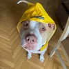 Odzież dla psa duża płaszcz z kapturem przeciwdeszczowym odblaskowy pasek z kapturem poncho prysznic prysznic wiatroodporne ubrania deszczowe z workiem do przechowywania