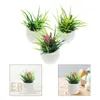 Dekoratif çiçekler 3pcs minyatür saksı mini ev dekor bonsai bitkileri rastgele stil