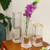 Vases Hydroponic Nordic Glass Vase Aesthetic Gold Luxury Ikebana moderne Small Design Transparent Plant Vasi Home Decor WK50VA