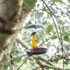 Autres fournitures d'oiseaux Sentille de chaîne de métal d'alimentation unique avec conception de parapluie pour filles pour décoration de jardin extérieur cour facile