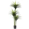 Fiori decorativi grandi piante artificiali Dracaena piante tropicali in vaso foglie di palma finta foglie di cycas per decorazioni per interni da giardino domestico