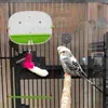 Andere Vogelversorgungslieferungen Feeder-Vogel-Feeder im Fenster Wondow für PE-Kolibri-Becher klar