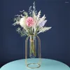 Wazony wybór dekoracji ogrodu Art Flowerpot wazon szkła akwarium przezroczystą modną atmosferę życia powszechnie używana