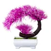 Decoratieve bloemen mini kunstmatige planten bonsai gesimuleerde boom potted nep tafel ornamenten voor huiskamer tuindecoratie