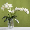 Dekoracyjne figurki phalaenopsis Orchidey pozostawia sztuczne prawdziwe korzenie lateksowe rośliny kontaktowe zielone aranżacja sztucznego liścia 6 szt.
