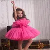 Fuşya Çiçek Gençler Elbise Straplez Yay Tül Tul Tül Tutu Kızlar Pageant Elbise Mini Kısa Çocuk Doğum Günü Önlükleri İlk Cemaat Dr 289B
