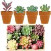 Decoratieve bloemen 16 Pack kunstmatige vetplanten faux flock planten mini nep sappig ornament voor bruiloft landschap tuin arrangement