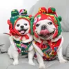 Hundkläder årets outfit Fatou nordöstra stora blommor bomullsrockhundar och katter Autumn Winter Pet Clothes