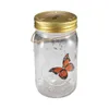 BOTTIGLIE Magic Flying Butterfly Jar Lamp Lamp Glass Simulazione Insetto animato Insetto di raccolta Bottle Nuova regalo