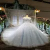 Cinderella Ball Gown Wedding Dresses With Long Wraps Light Sky Blue Beads 3D Applique Lace Princess Bridal Clows Sweep Train Robes De M 2656