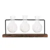 Вазы креативная стеклянная бутылка Гидропонная заводская стойка прозрачная ваза деревянный декор