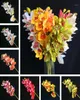 4p Latex artificiel Cymbidium Orchid Flowers 10 têtes Real Touch Good Quality Phalaenopsis Orchid pour le mariage Fleur décorative16952134