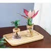 Vases Mini Hydroponic Flower Pot Home Vase Vase Imitation Transparent Verre Soille sans plante Pusts Green Plantes Décoration