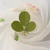 Decorative Flowers 60pcs Pressed Dried Flower Shamrock Clover Leaf Herbarium For Epoxy Resin Jewelry Making Bookmark Face Makeup Nail Art