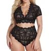 Beha's stelt vrouwen sexy lingerie v nek high taille bloemen kanten kruis bra panty 2-delige set doorzichtige ultrathin underwire plus size 2024