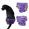 Chien de chien chiens pantalon physiologique magique bâton Pet en peluche dorée coton pur