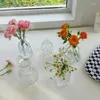 Vase Home Flowers Art Decor Nordic Glass Vase Vieythetic Living Room Hydroponics Plant for Dining Table