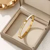 Korean Temperament Gold Stainless Steel Bracelet Zircon Drip Oil Designer Bracelet Fashion Versatile Bracelet for Women