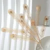 Decorative Flowers Simulation Peacock Tail Plastic Flower Leaf Wedding Hall Road Guide Decoration Dining Table