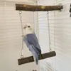 Другие птицы поставляют практическую игрушку сильную твердость попугай