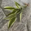 Fleurs décoratives feuilles de plantain artificielles avec racines plantes vertes en plastique fausse fleur en pot sans pot couloir de plante simulée el