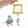 Autres fournitures d'oiseaux 2 pcs Parrot dentition jouets interactifs refléter le poulet de poulet suscite de pochettes pour sectionner