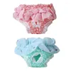 Dog Apparel Chiffon Female Pet Lace Sanitary Physiological Pants Reusable Diapers For Dogs Washable Puppy Short Panties Small