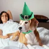 APPACEL DOG ST PATRICK'S DAY CAT CAT avec collier Funny Pet Headpice Sharp Pointed Green Costume Accessoires Noël