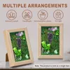 Frames 5x7 Bilderrahmen Holz mit Amethyst Cluster Dekor kreative PO Display einzigartige Waldgrüne