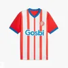 2023 2024 GIRONA FC Stuani Soccer Jerseys Cities Castellanos Valery Toni Borja Garcia Villa Aleix Garcia River 23 24 Football Shirts Men Kids Home Away Tsygankov