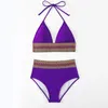 Swimwwear Women's Purple High Wiston pour femmes 2024 Summer 2 pièces Bikini Sexy V-Neck Suspendemless Backless Beach Vacation