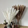 Fiori decorativi Pampas Natural Flower Sessic Wedding Pampa Disposizione di arredamento per la casa 45 cm Erba di canna per feste