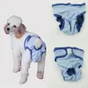 Chien de chien chiens pantalon physiologique magique bâton Pet en peluche dorée coton pur