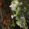 Fleurs décoratives artificielles fausses plantes saules de la branche de neige en plastique en plastique fleur de soie à la main