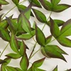 Dekorativa blommor konstgjorda grenar faux blad spray grön grönt stam växt för hem bröllop vas fyller dekor