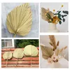 Decoratieve beeldjes Natuurlijke palm speerventilator Gedroogde bladeren met stengel Cattail Leaf Ornament Wedding El Home Wall Decor PO Props