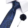 Nek Tie set gratis verzending Gravatas heren accessoires gestreepte geruite patroon zakelijk zijden stropdas set stropdas pin mannen trouwpak jacquard banden