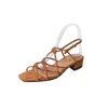 Kleding schoenen dames sandalen smal band retro dames zomer goud bruin romeinse stijl vintage gladiator op med hiel 3 cm