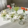 Vase Home Flowers Art Decor Nordic Glass Vase Vieythetic Living Room Hydroponics Plant for Dining Table