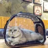 Barnvagnar transparent husdjurspåse bärbar kattbärare påse andas för liten hund katt vikbar tvättbar bekväm och rymlig väska