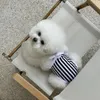 Roupas de animal de estimação de verão fofo listrado de uma peça cachorro maiô de maiô Bichon Teddy Maltese Dog Role