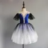 Saia profissional para meninas para meninas Tutu Ballet Adulto Kid Swan Cosumes Princesa Danista Dress Clothing 240510