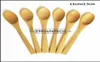 Spoons couverts 8 taille petite bambou naturel eeofriendly mini miel cuisine café cuillère