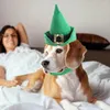 Abbigliamento per cani Cappello Cat Cat Calco Elfo Fede St. Patrick's Day Testa Accessori Green Top per gatti Dogsini per gatti