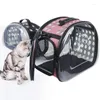 Carriers Cat Piet Dog Travel Backpack Spazio Piegabile Carrier per sacchetti traspiranti per un piccolo carrello da borsetta