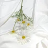 Decoratieve bloemen 11stcs Imitatie Daisy Home Decoratie Bouquet Wild Kamille Nep gedroogde bloem Dutch Chrysanthemum Ornament Pography