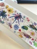 Gift Wrap Vintage Insect Floral Special Oil PET Washi Tapes Craft Supplies DIY Scrapbooking Card Making Decorative Plan Sticker